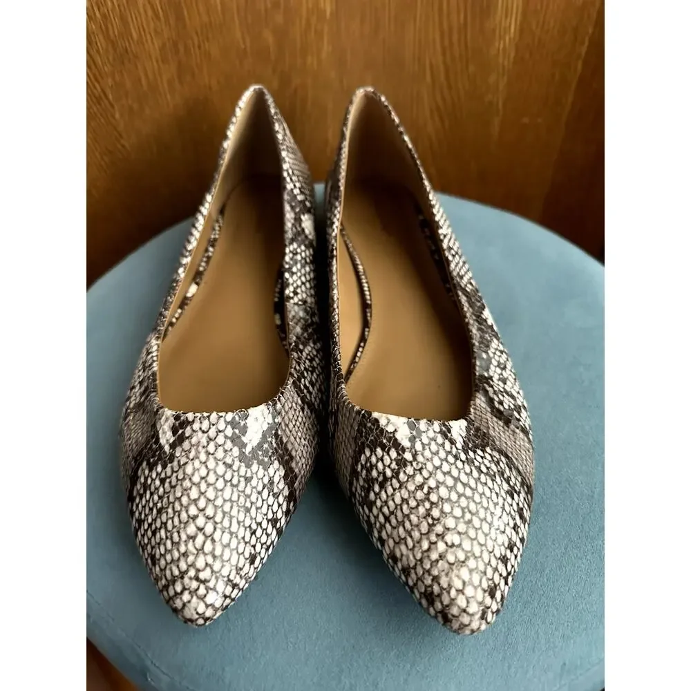 14 & Union Women's Animal Print Pointed Toe Flats | Size 11